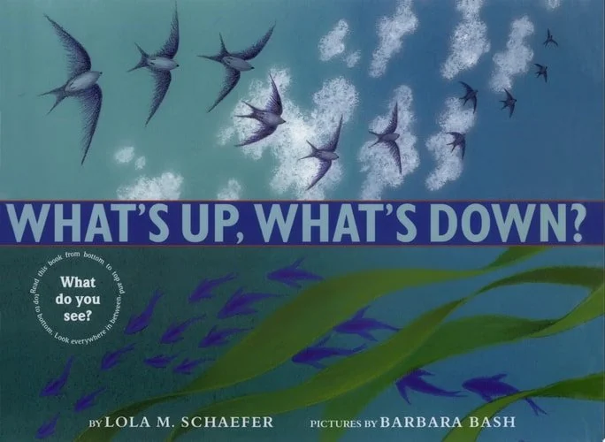 Book cover: What's Up, What's Down? by Lola M. Schaefer