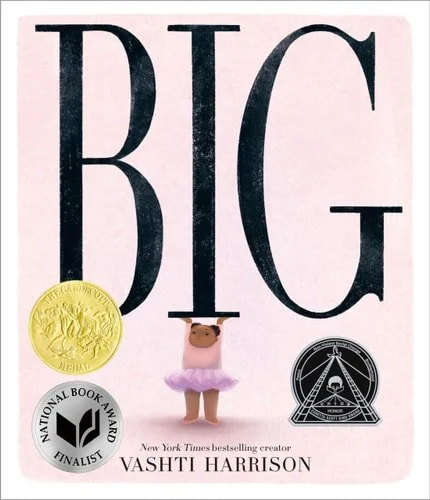 Book cover: Big by Vashti Harrison