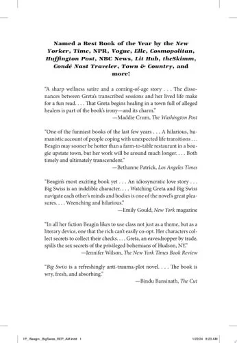 Book cover: Big Swiss: A Novel by Jen Beagin