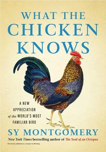 Book cover: What the Chicken Knows: A New Appreciation of the World's Most Familiar Bird by Sy Montgomery
