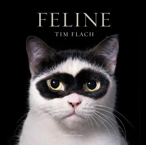 Book cover: Feline: Photographs by Tim Flach