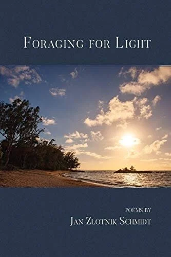 Book cover: Foraging for Light by Jan Zlotnik Schmidt