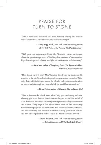 Book cover: Turn to Stone A Memoir by Emily Meg Weinstein