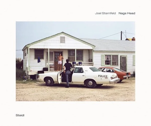 Book cover: Joel Sternfeld: Nags Head by Joel Sternfeld