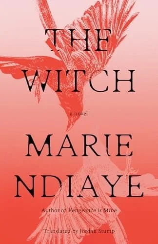 Book cover: The Witch A Novel by Marie NDiaye