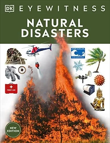 Book cover: Eyewitness Natural Disasters (DK Eyewitness) by DK