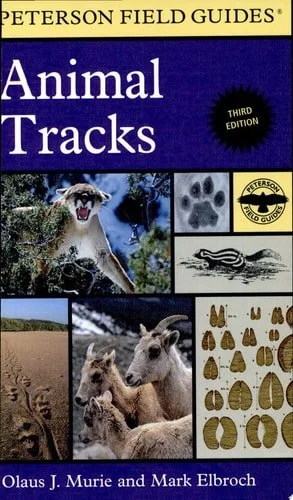 Book cover: Peterson Field Guide to Animal Tracks: Third Edition (Peterson Field Guides) by Margaret Elizabeth Murie
