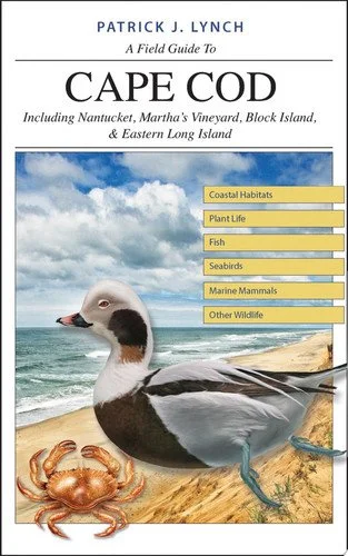 Book cover: A Field Guide to Cape Cod by Patrick J. Lynch