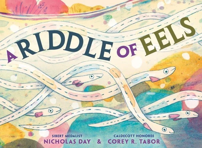 Book cover: A Riddle of Eels by Nicholas Day