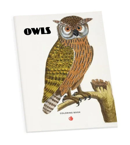 Book cover: Owls Coloring Book by Inc. Pomegranate Communications