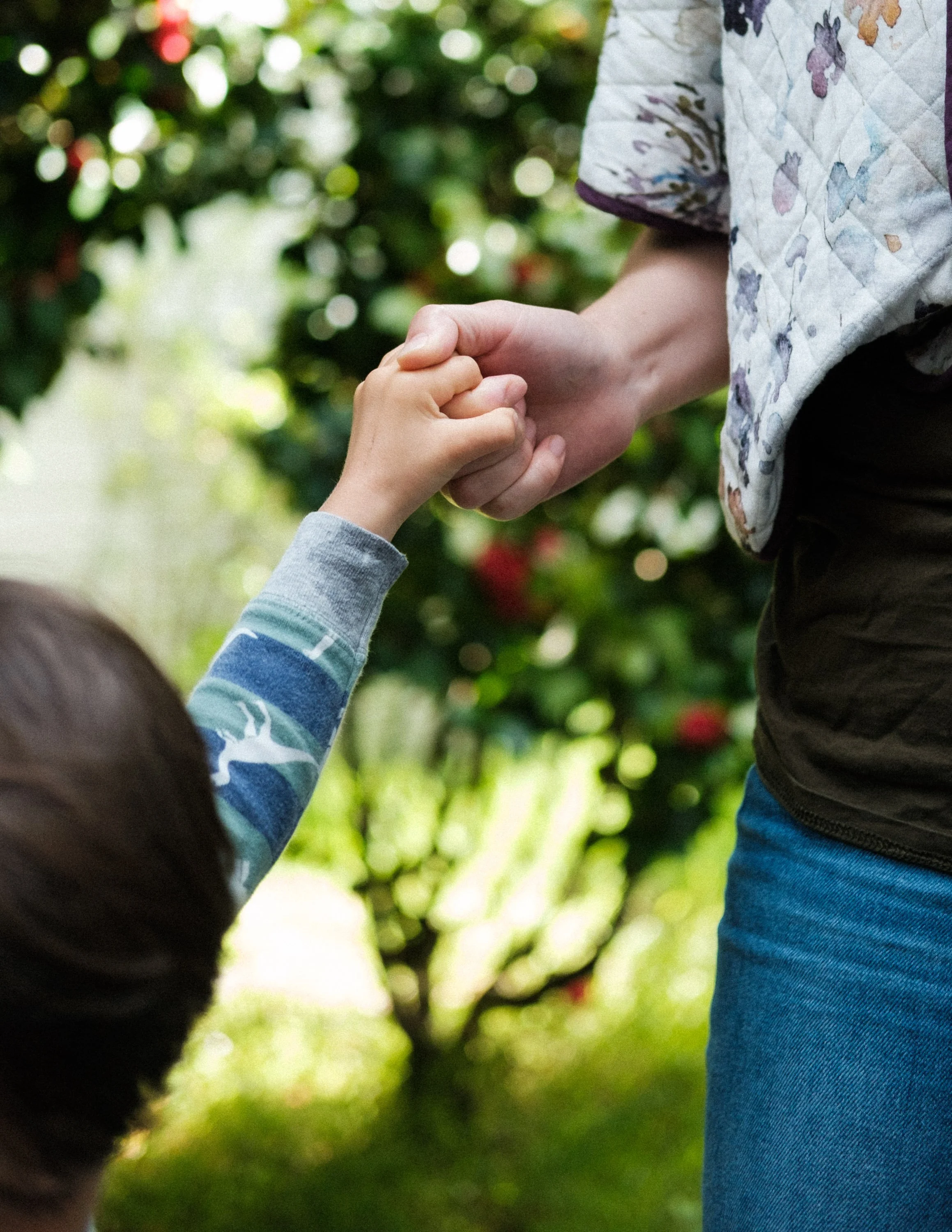A child and adult holding hands in an outdoor setting with greenery and a tree in the background.