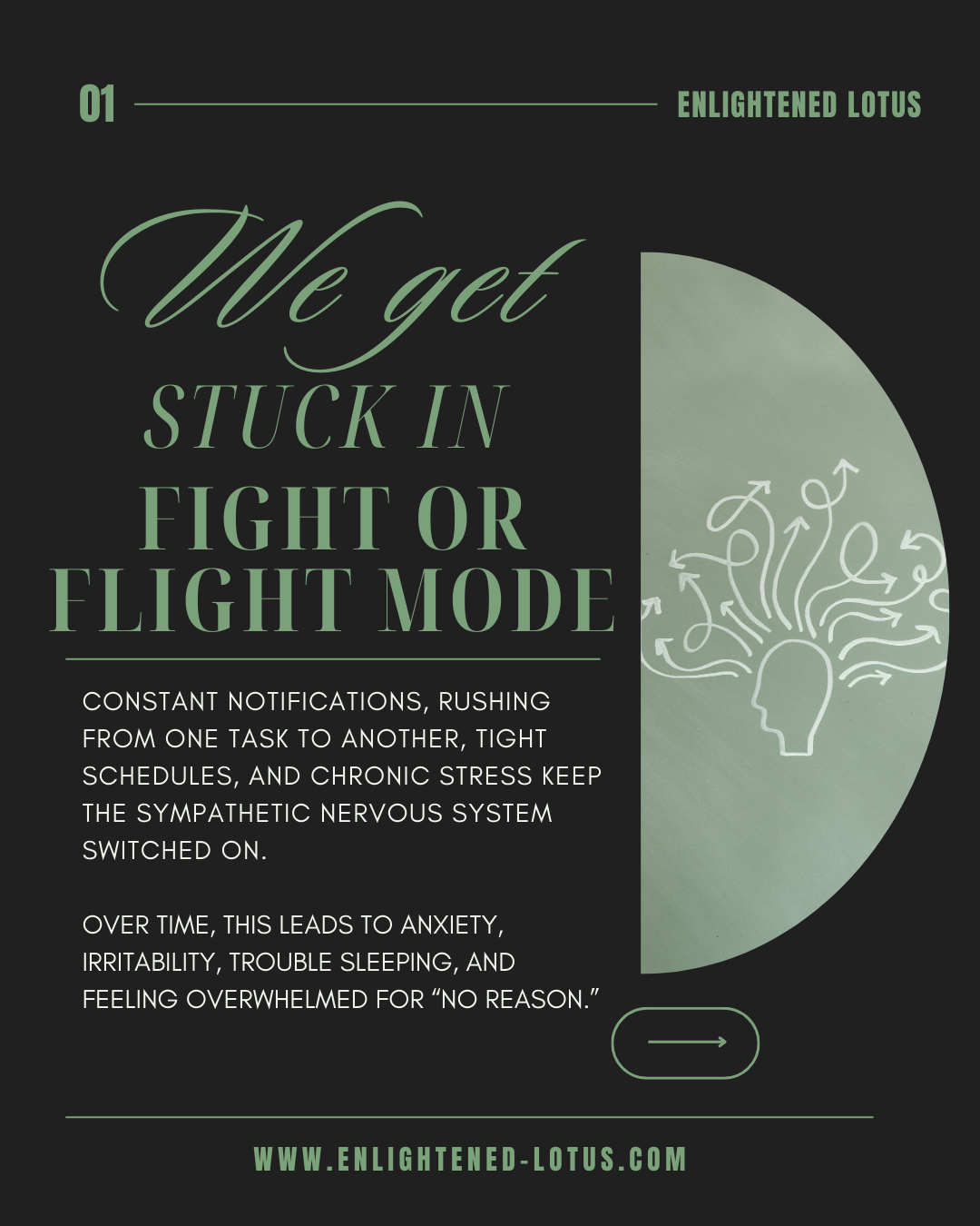 We get stuck in fight or flight mode