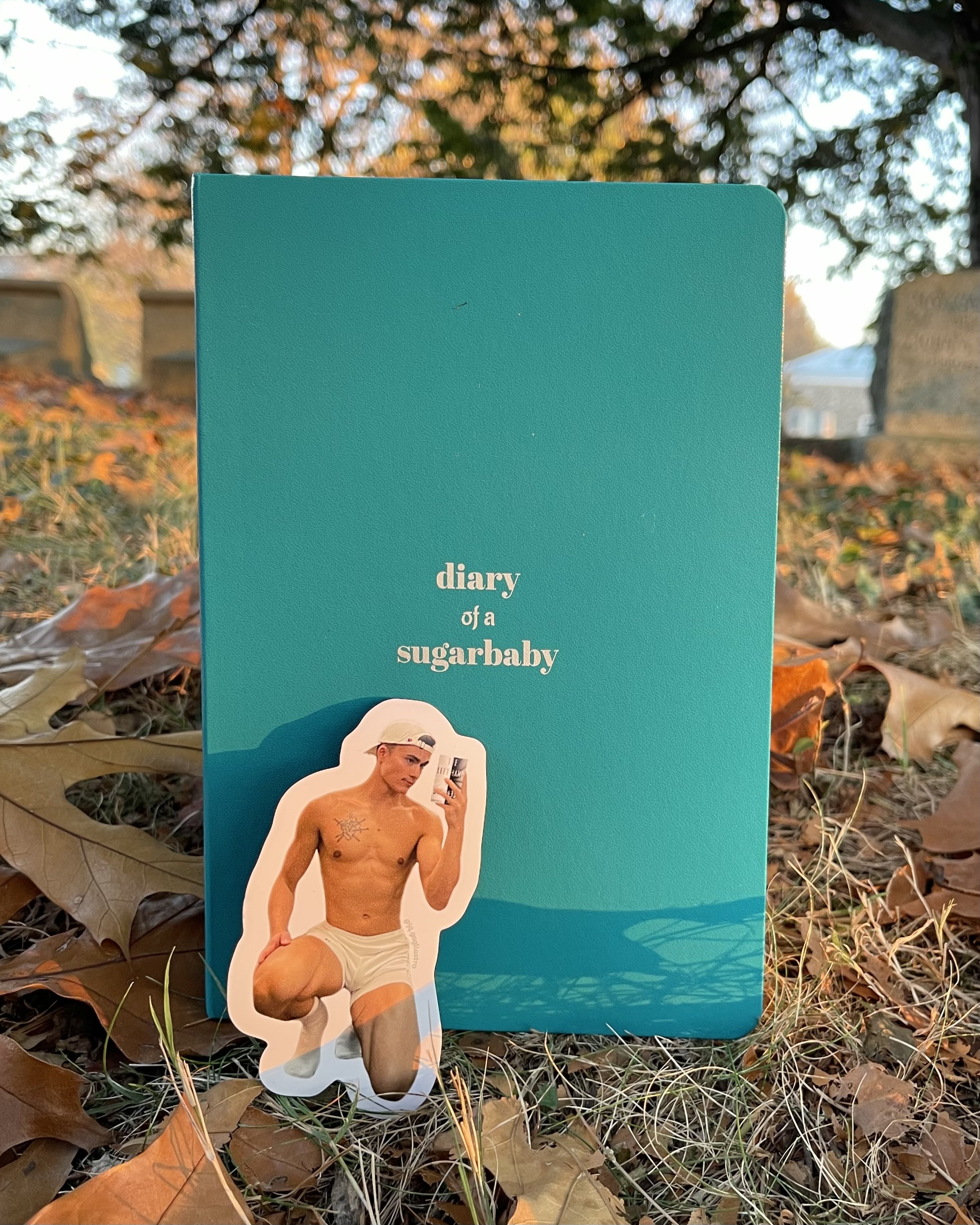 teal journal