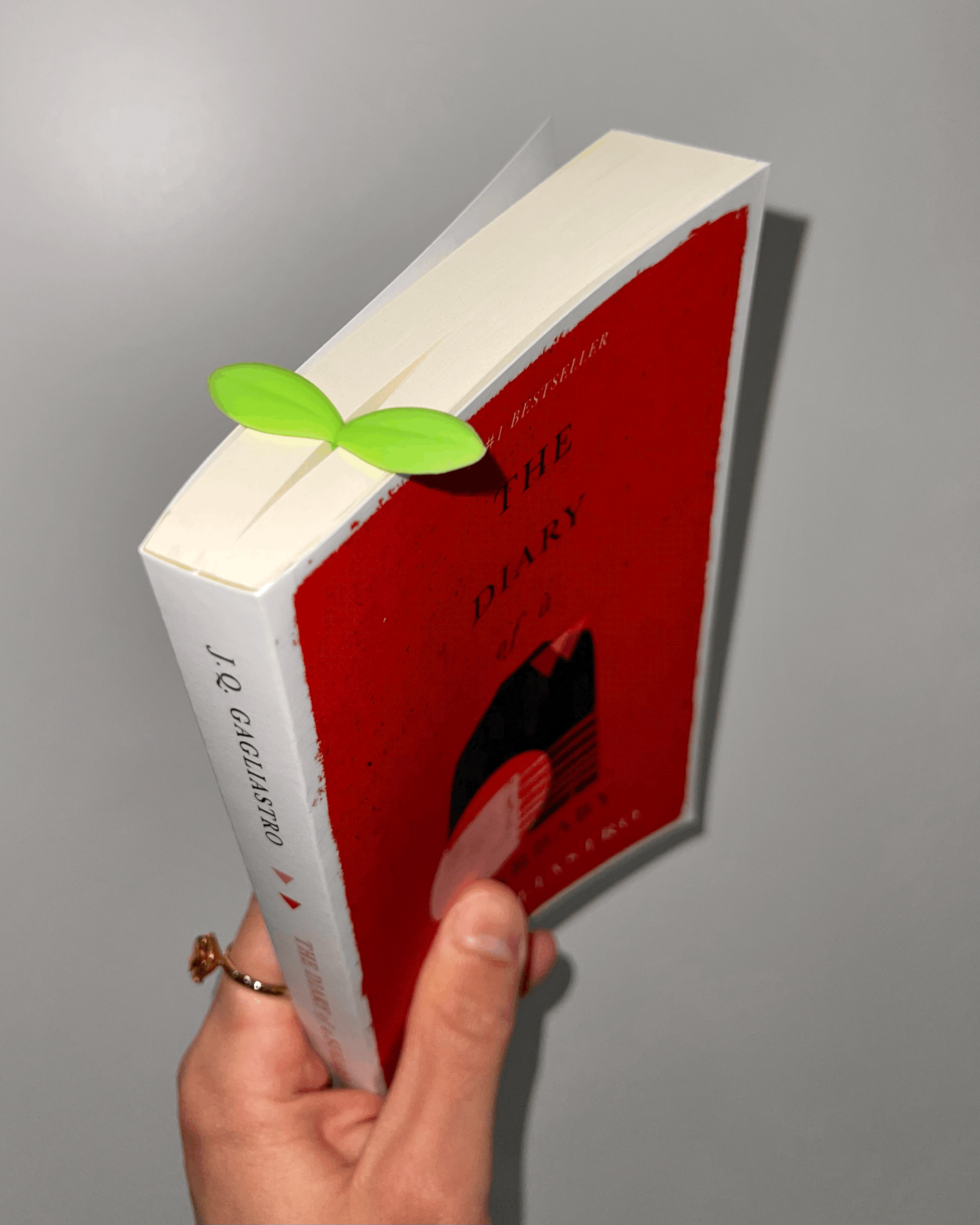 jq gagliastro the diary of a sugarbaby bestseller queer