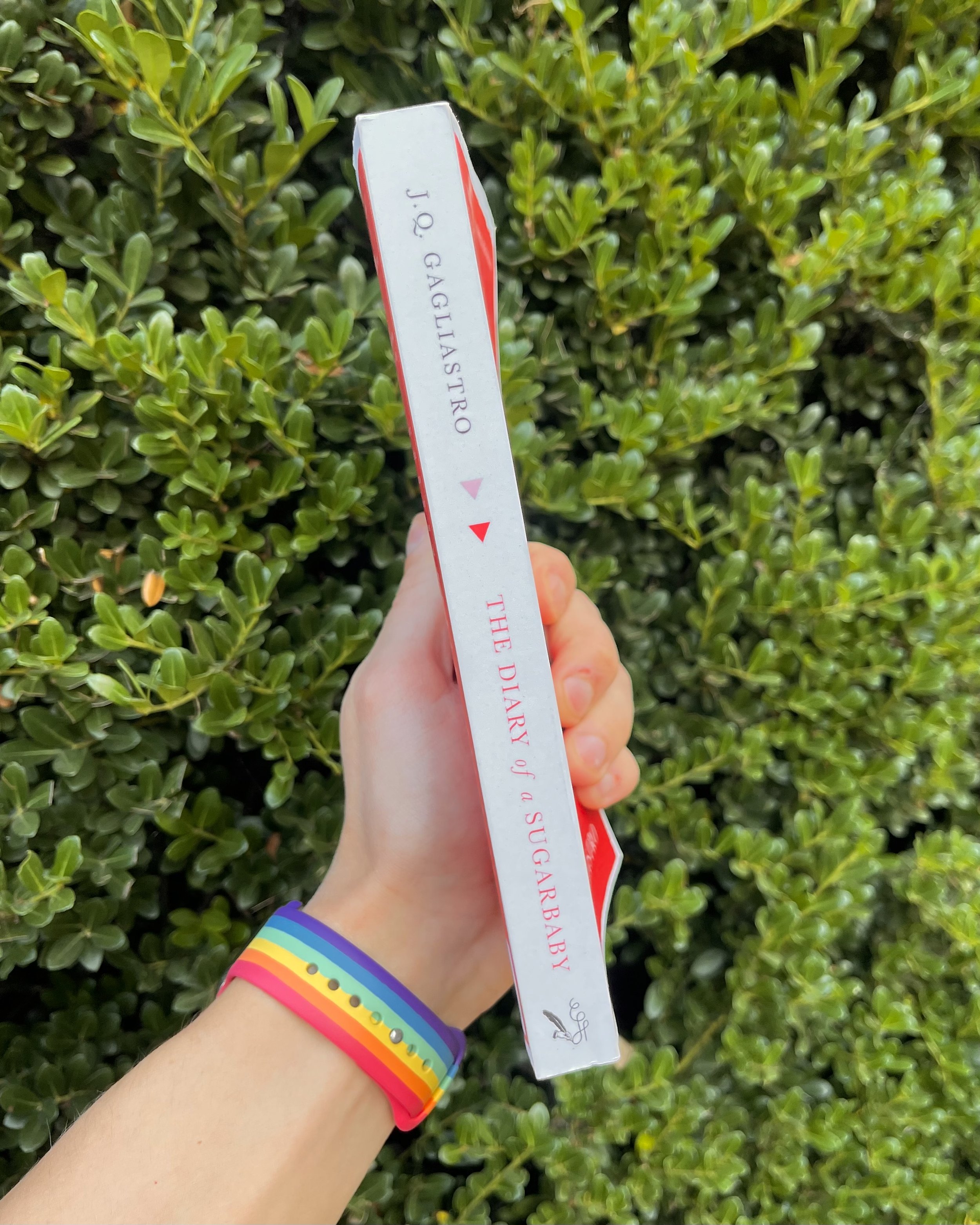 jq gagliastro the diary of a sugarbaby bestseller queer gay books