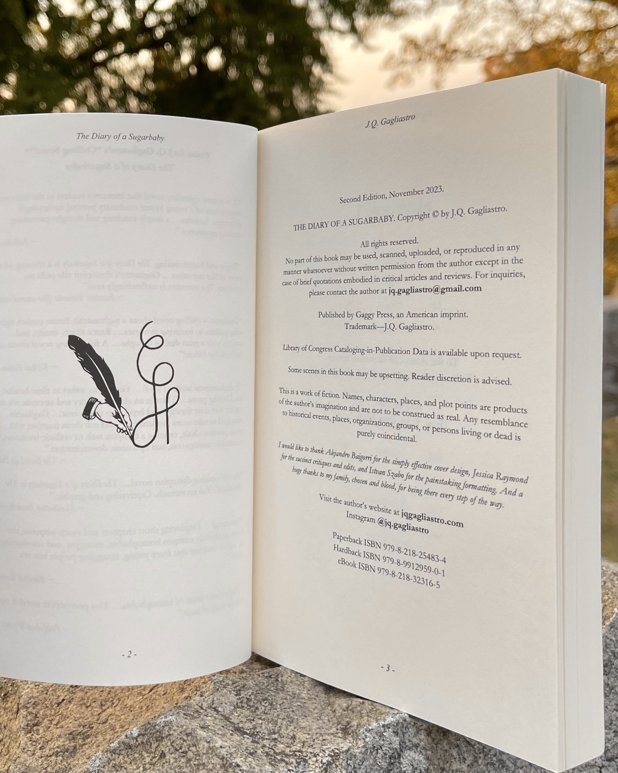 jq gagliastro the diary of a sugarbaby bestseller queer