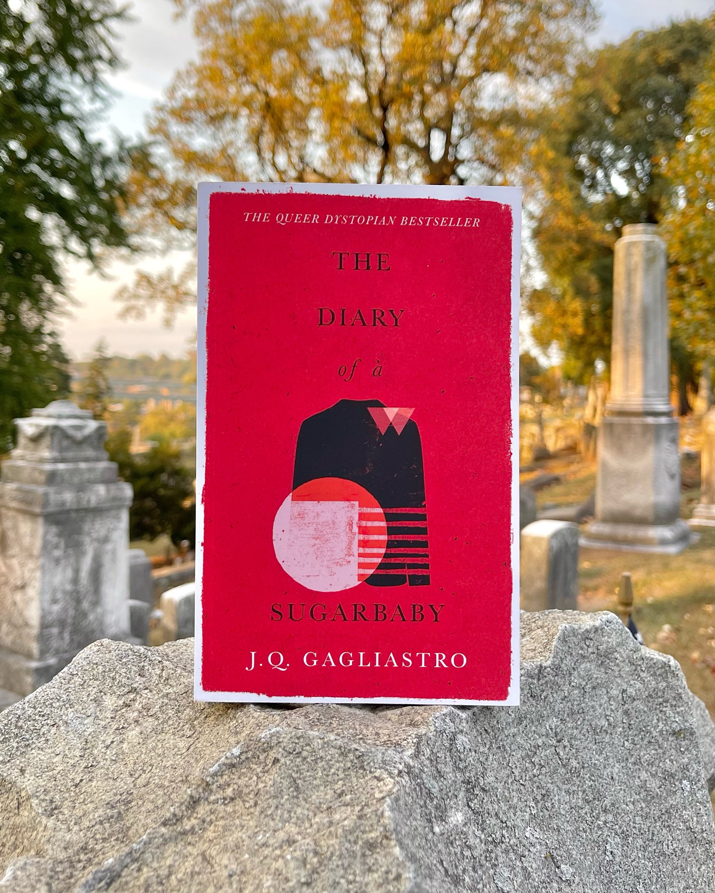 jq gagliastro the diary of a sugarbaby bestseller queer