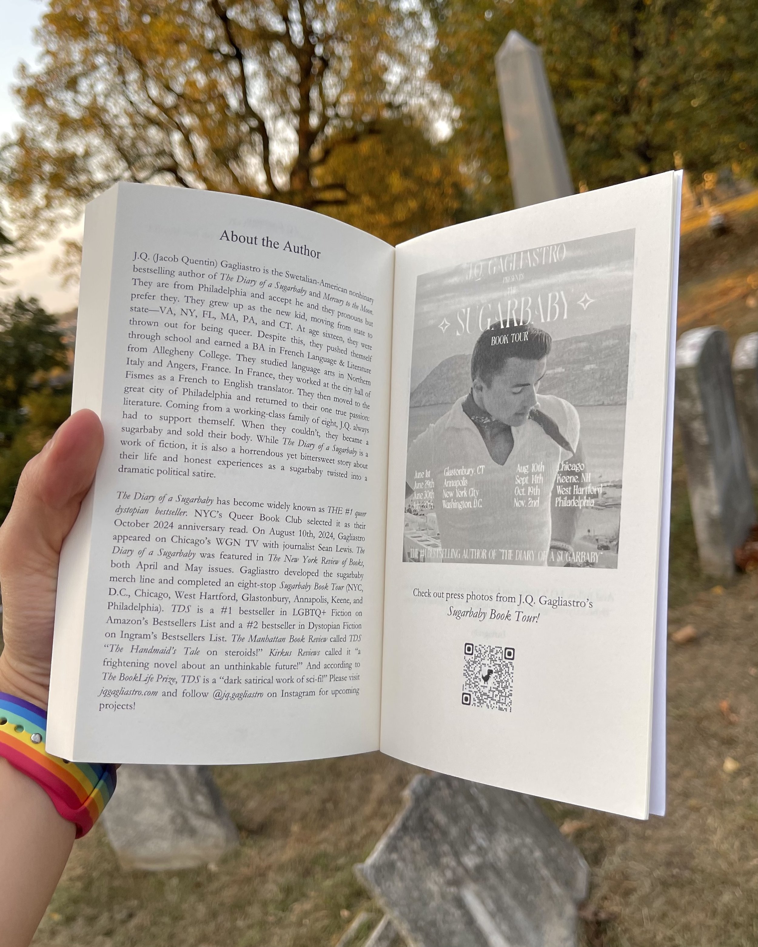 jq gagliastro the diary of a sugarbaby bestseller queer