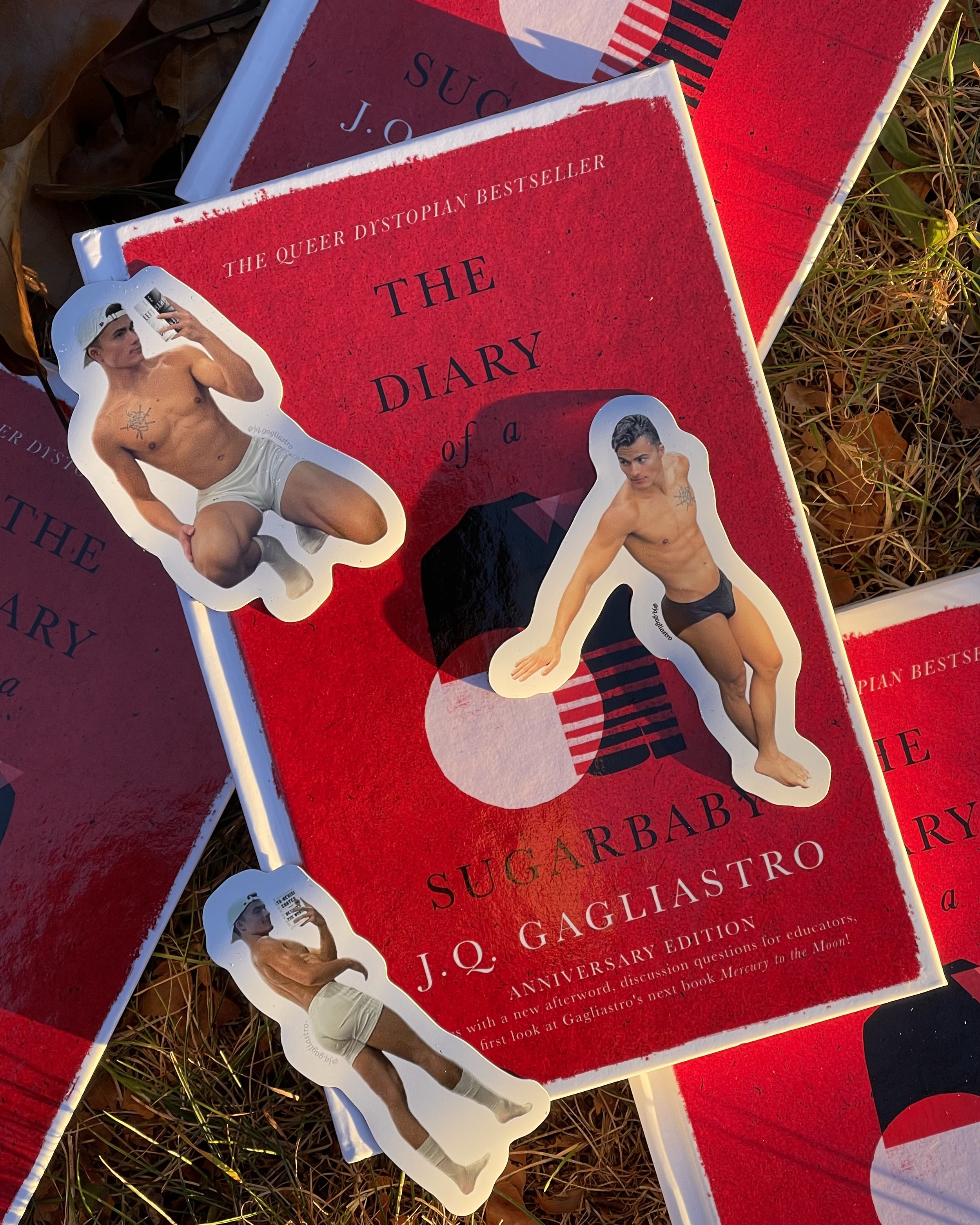 diary of a sugarbaby hardcover J.Q. Gagliastro anniversary edition gaggy magnets