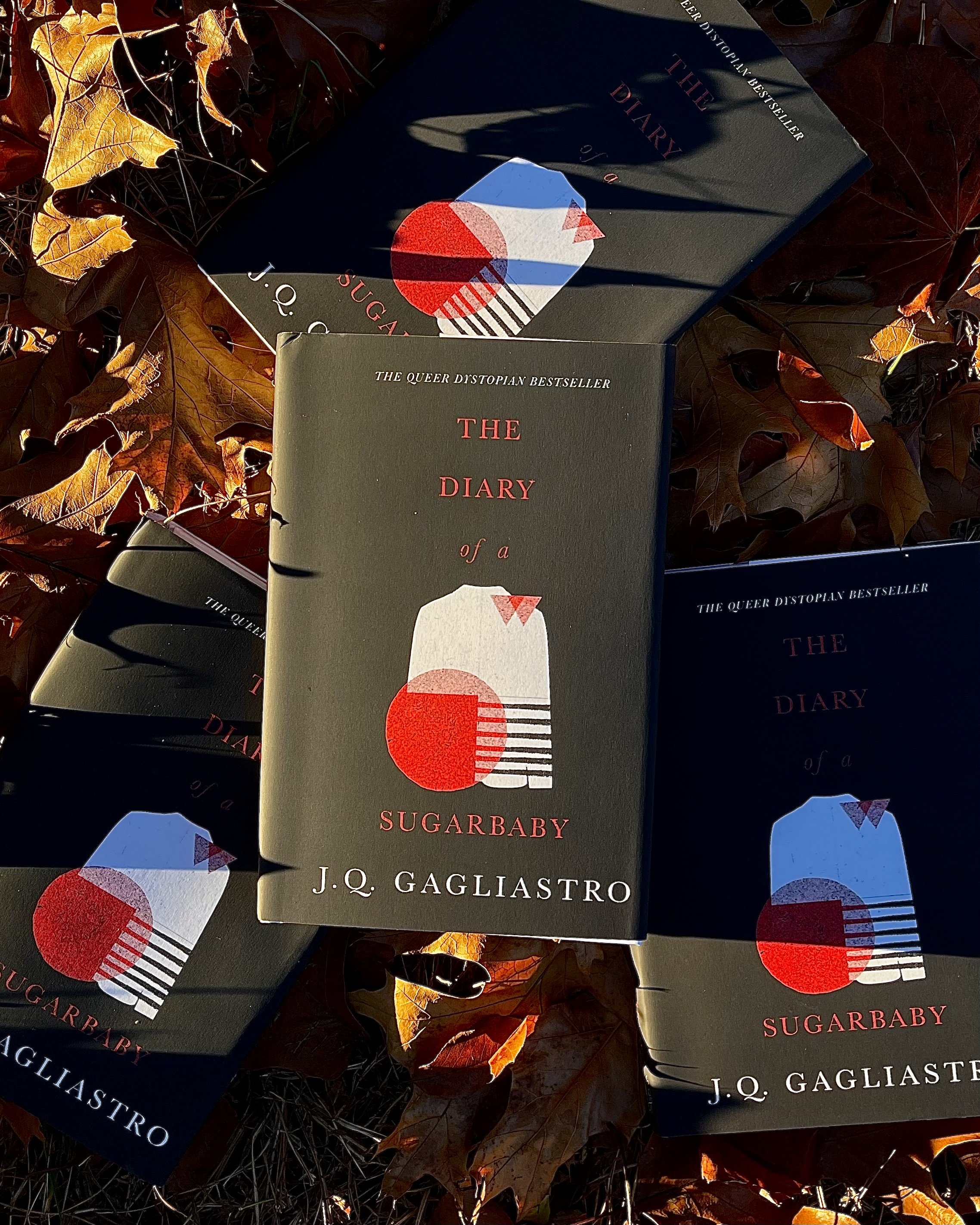 diary of a sugarbaby black cover special edition J.Q. Gagliastro