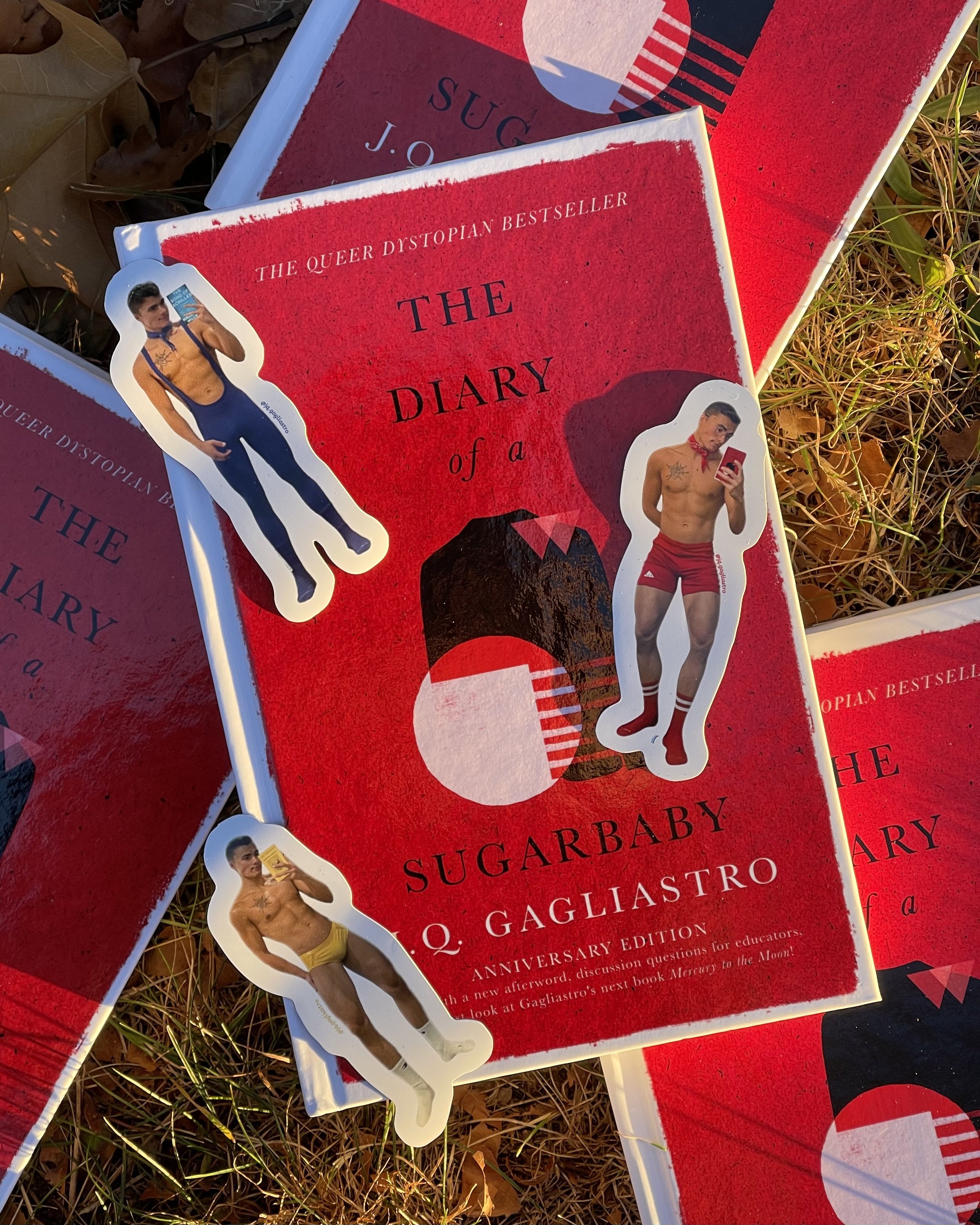 diary of a sugarbaby hardcover J.Q. Gagliastro anniversary edition gaggy magnets