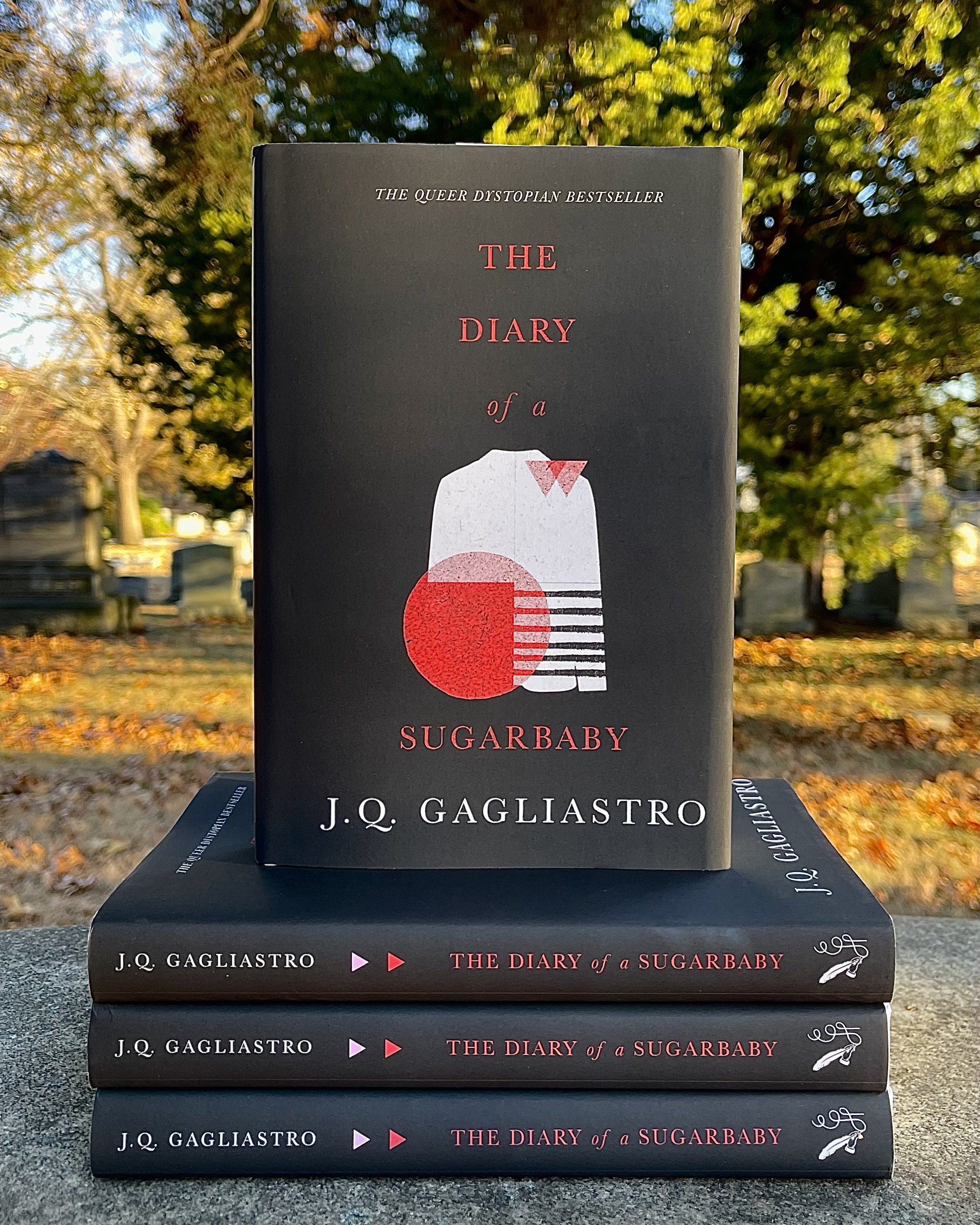 diary of a sugarbaby black cover special edition J.Q. Gagliastro