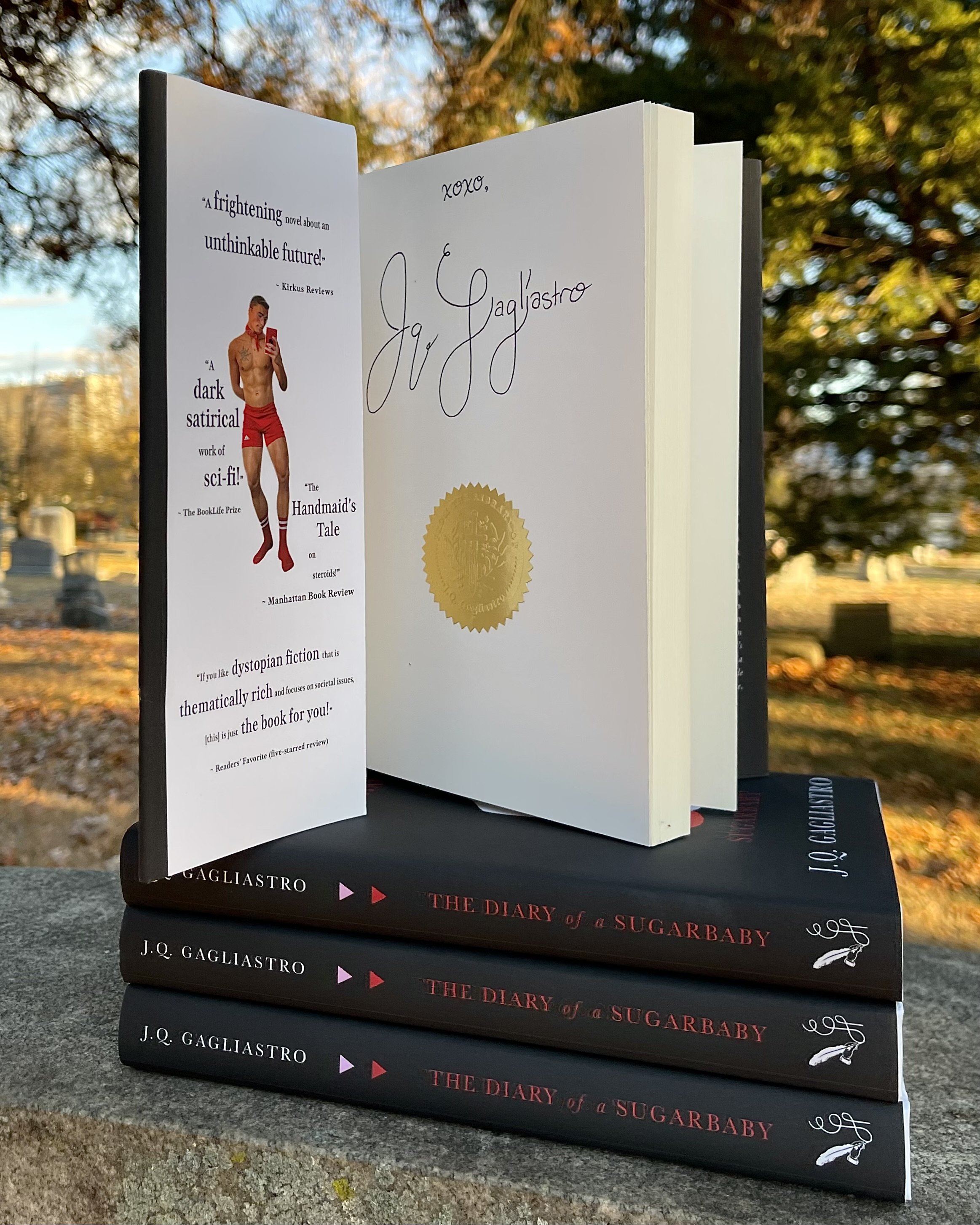 diary of a sugarbaby black cover special edition J.Q. Gagliastro
