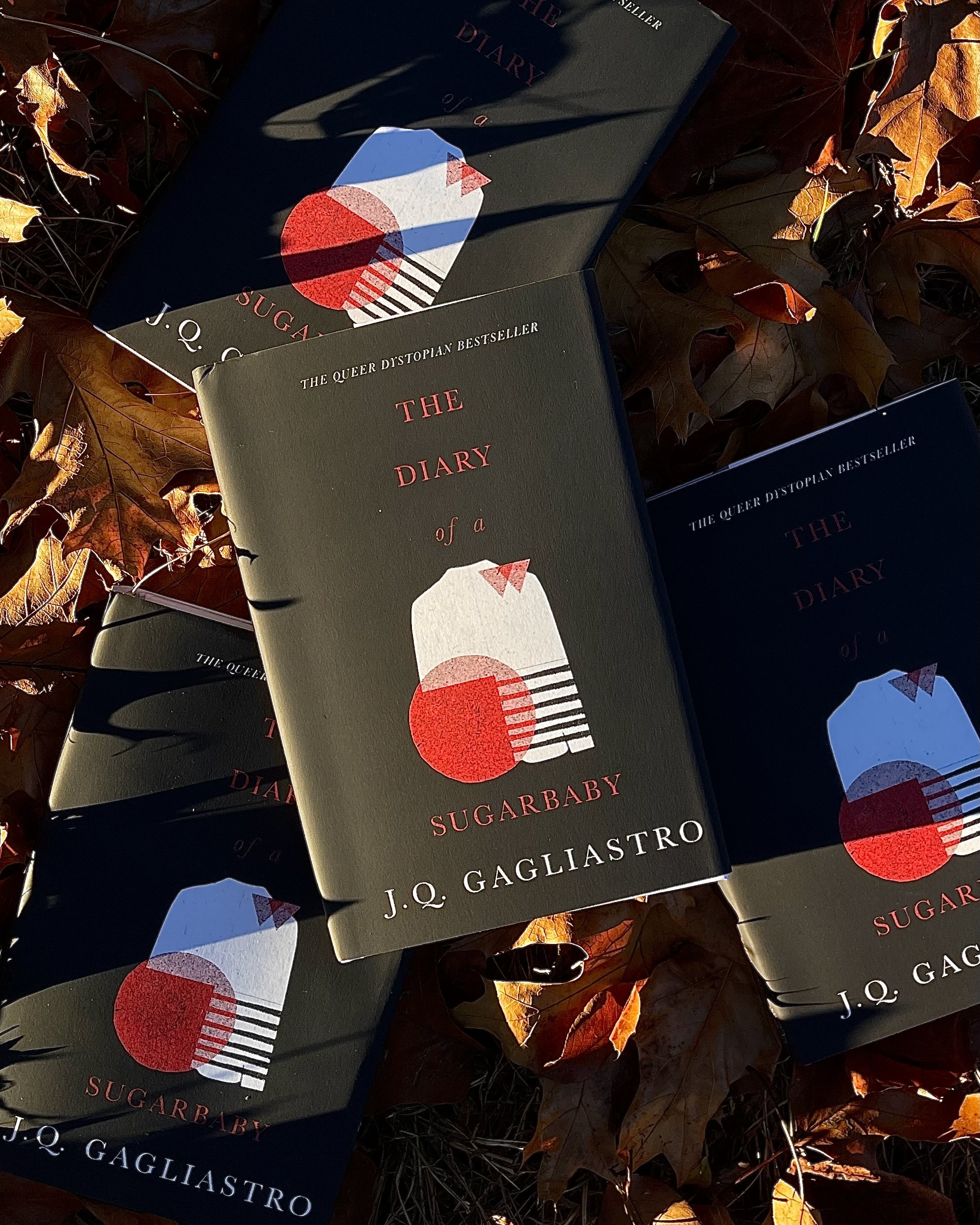 diary of a sugarbaby black cover special edition J.Q. Gagliastro