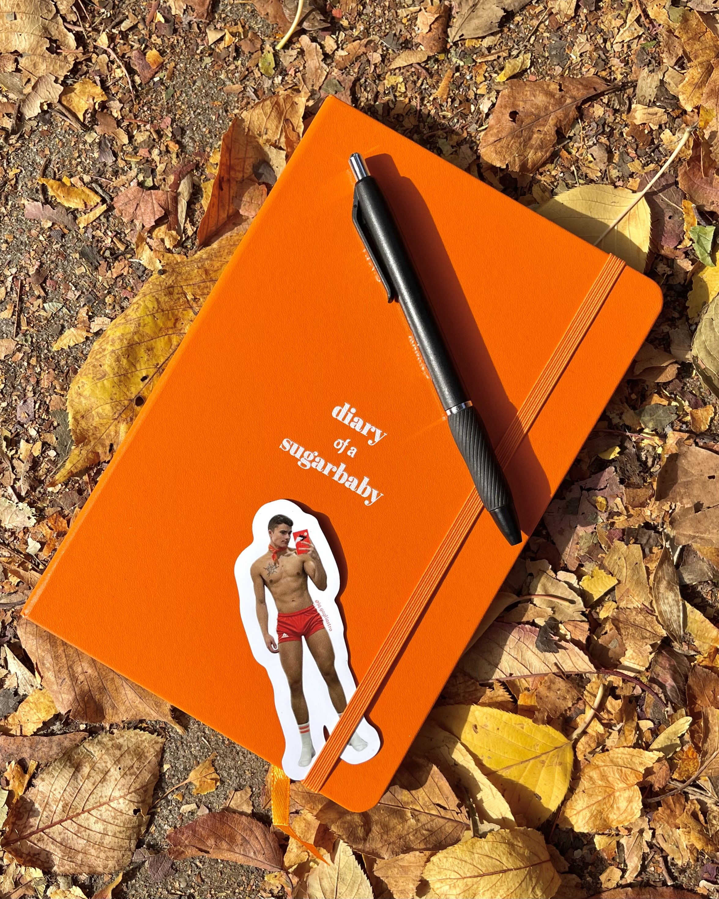 orange diary journal gaggy magnets