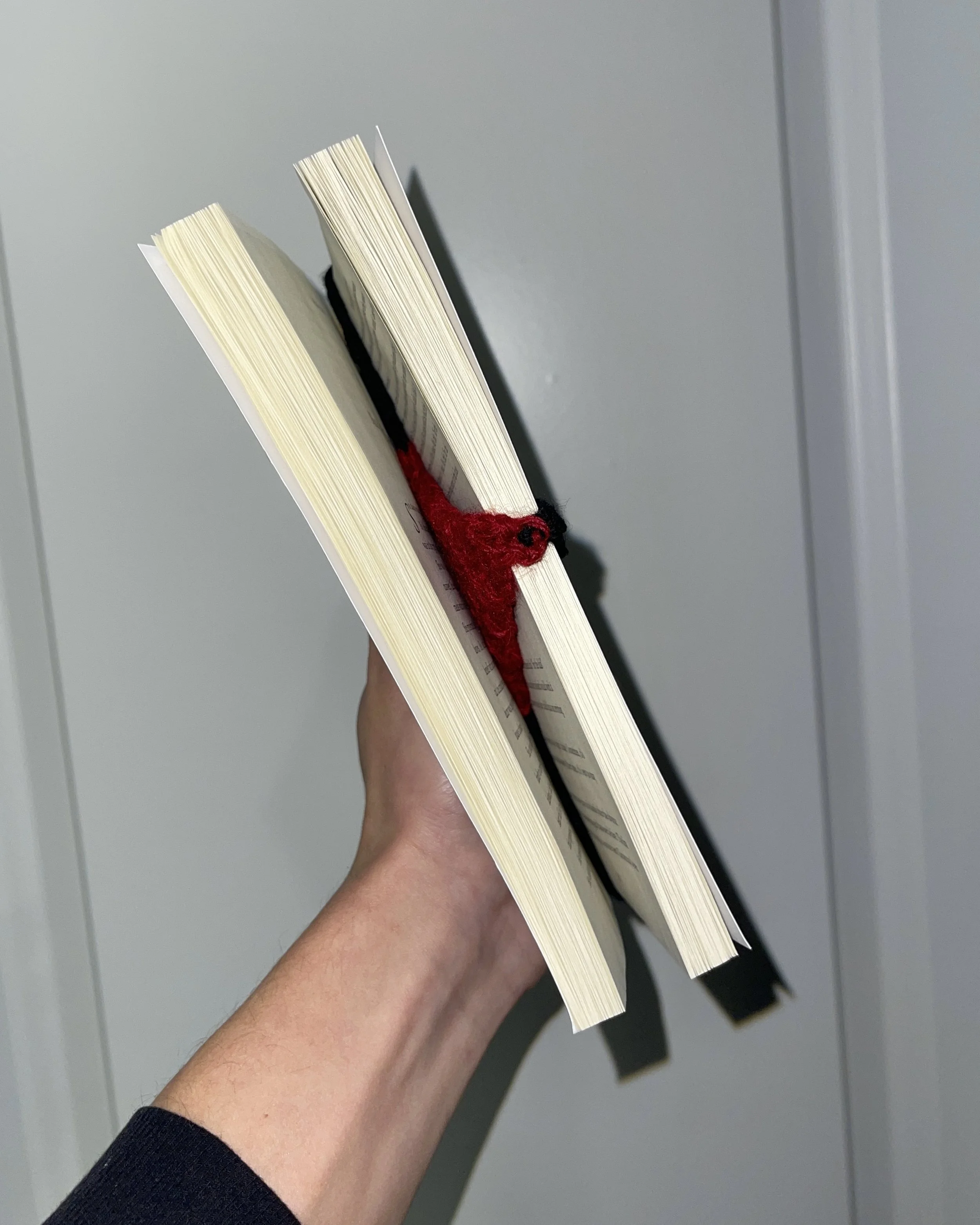 bookmark thong knit bookmark mary sweeney J.Q. Gagliastro thong