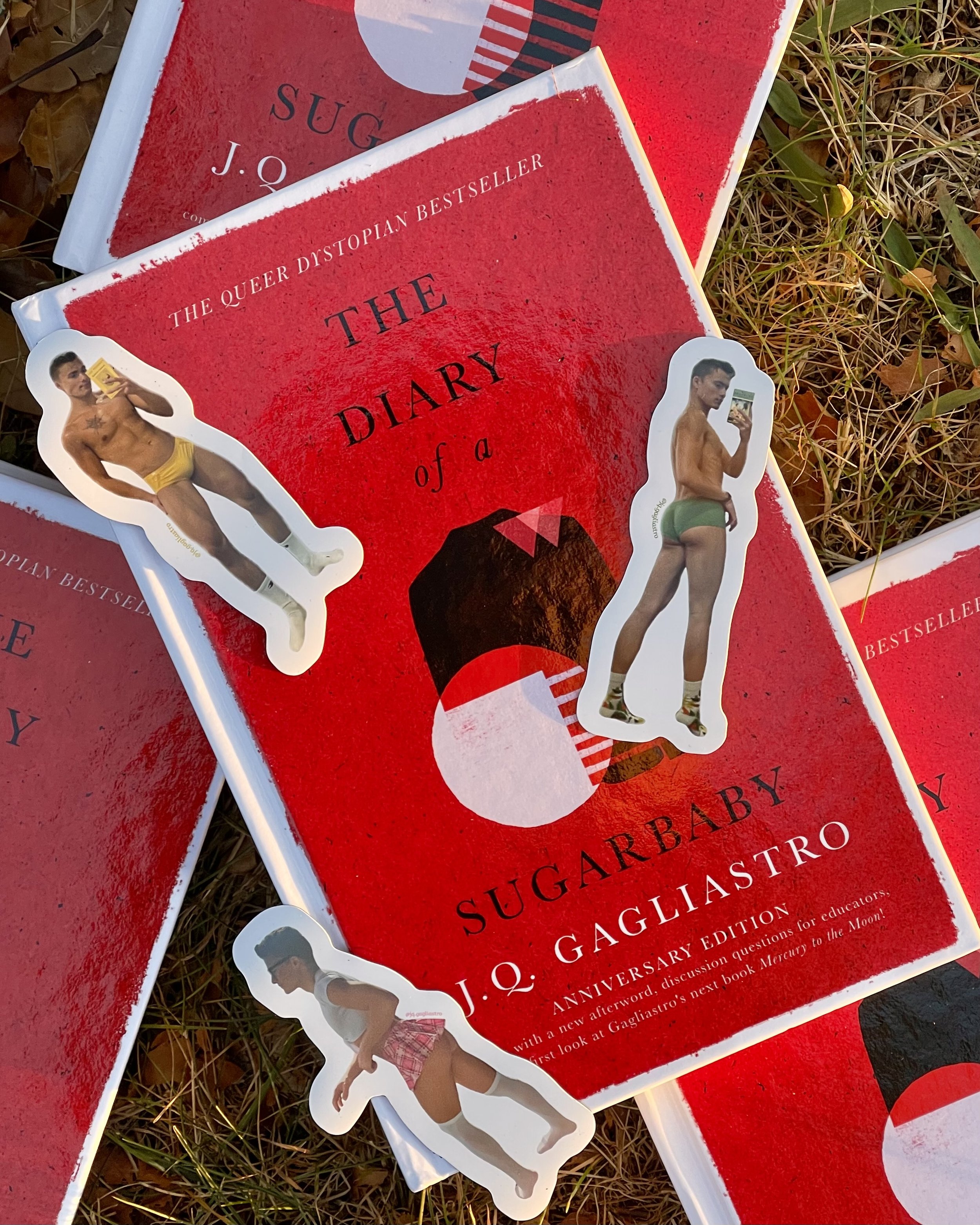diary of a sugarbaby hardcover J.Q. Gagliastro anniversary edition gaggy magnets