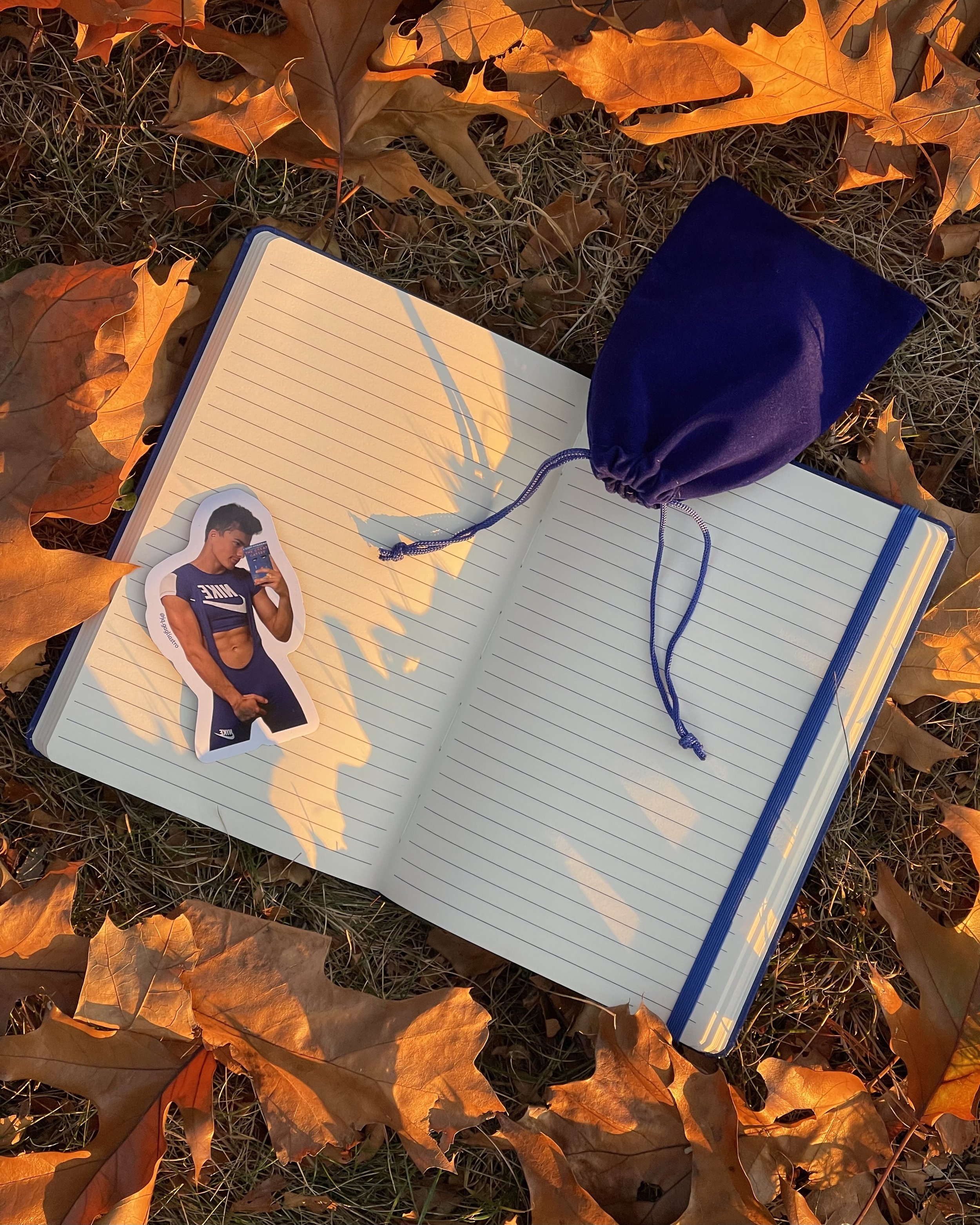 blue diary journal
