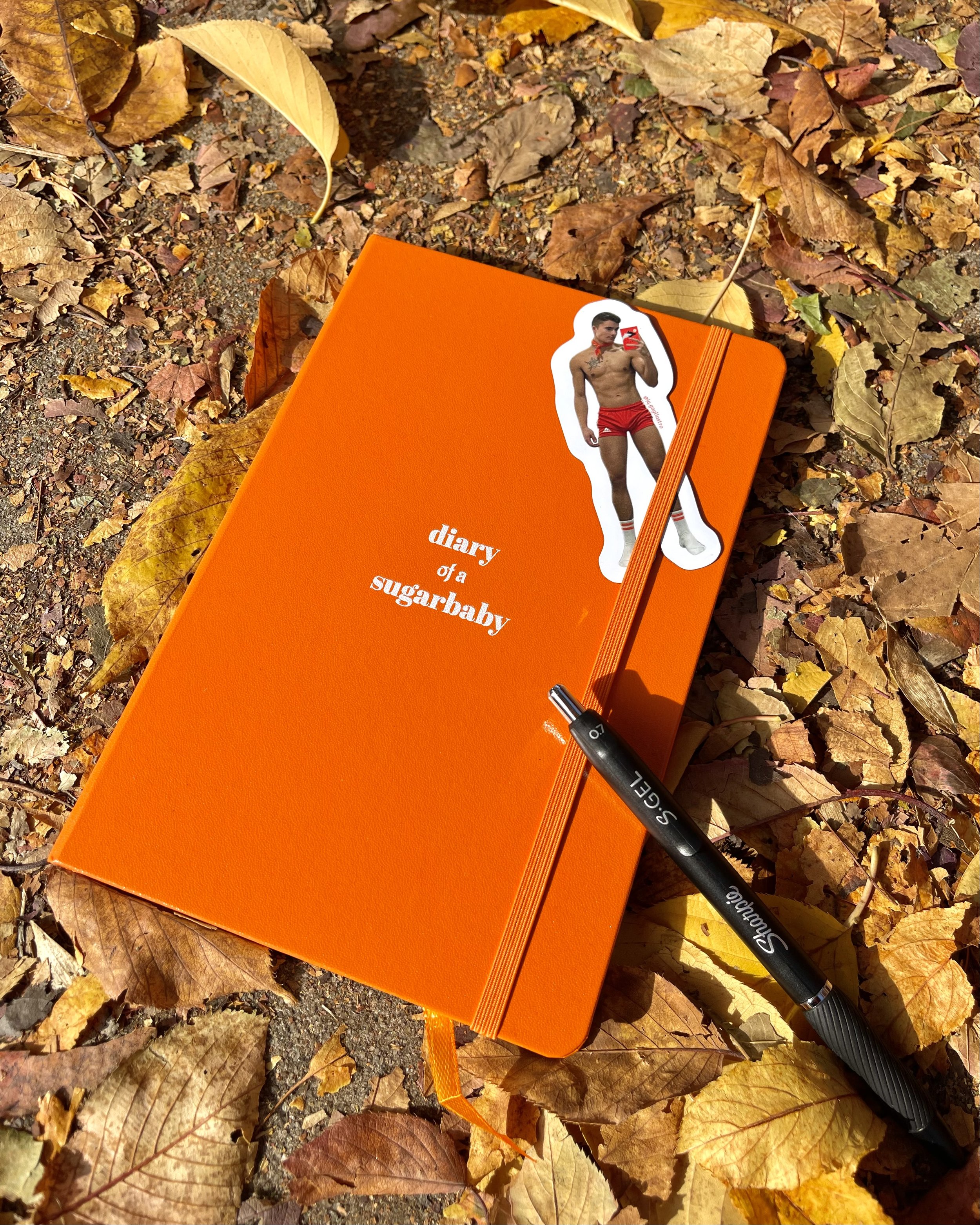 orange diary journal