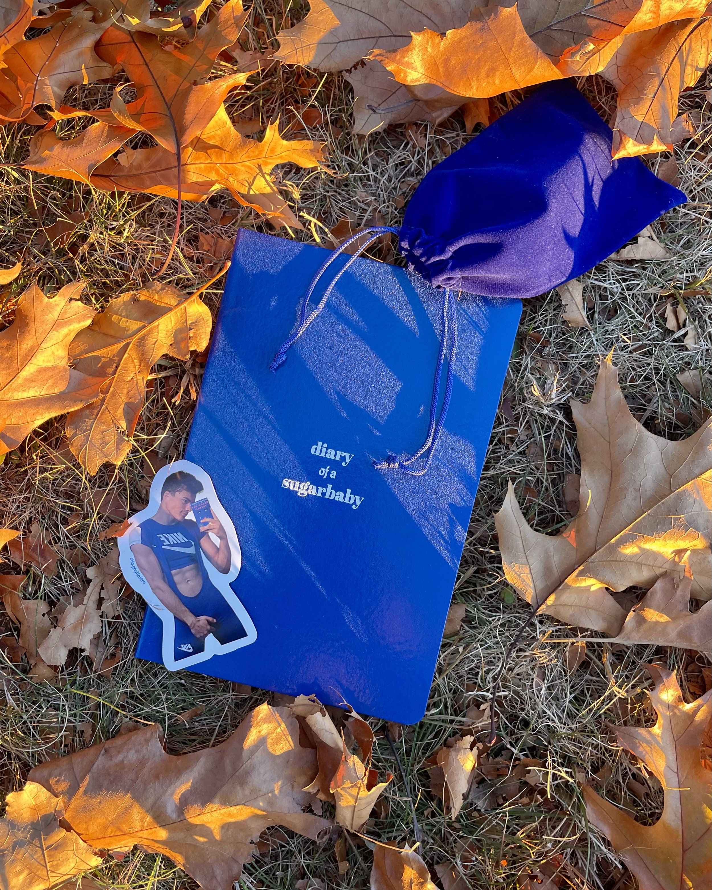 blue diary journal