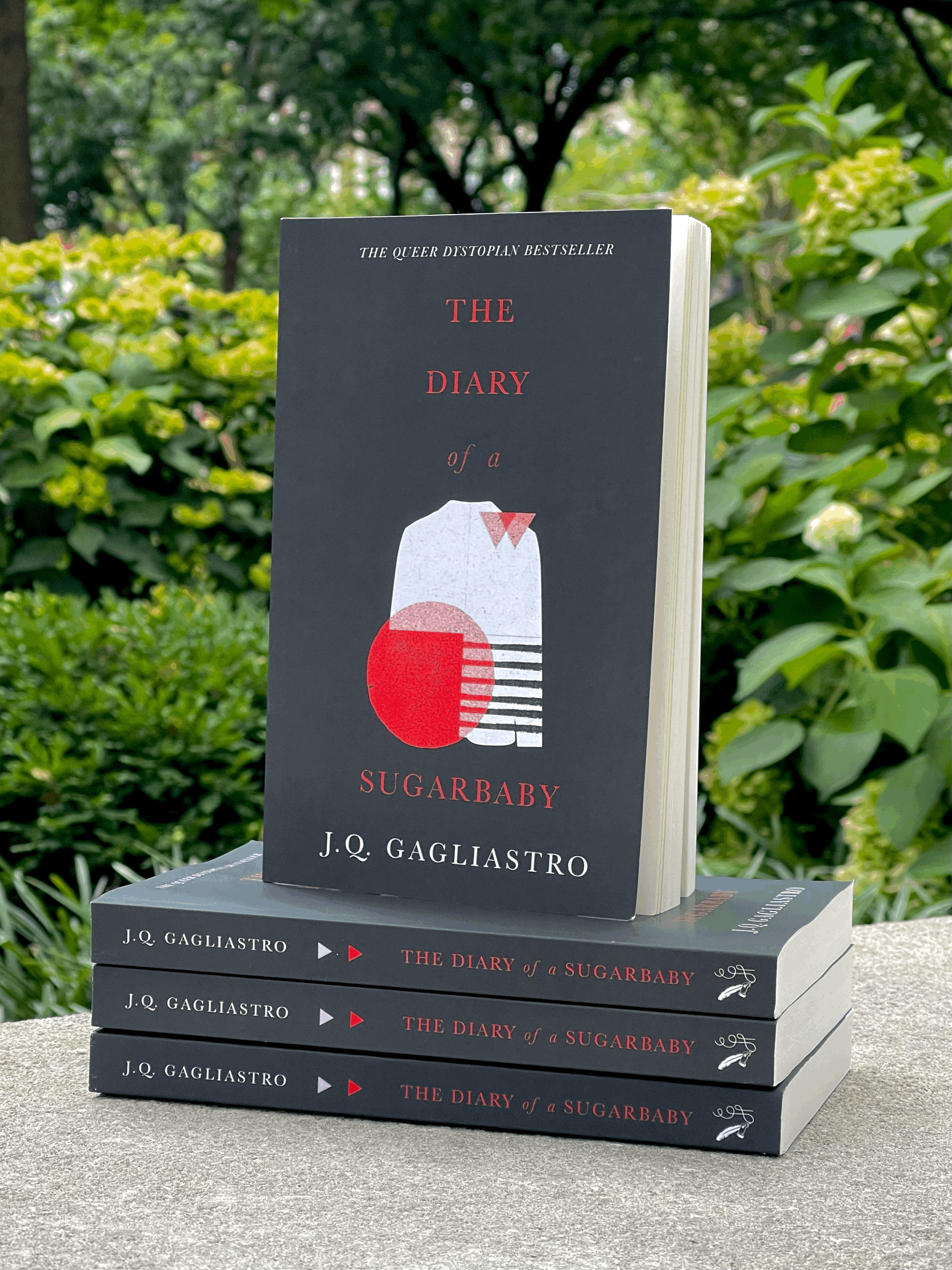 The Diary of a Sugarbaby black edition