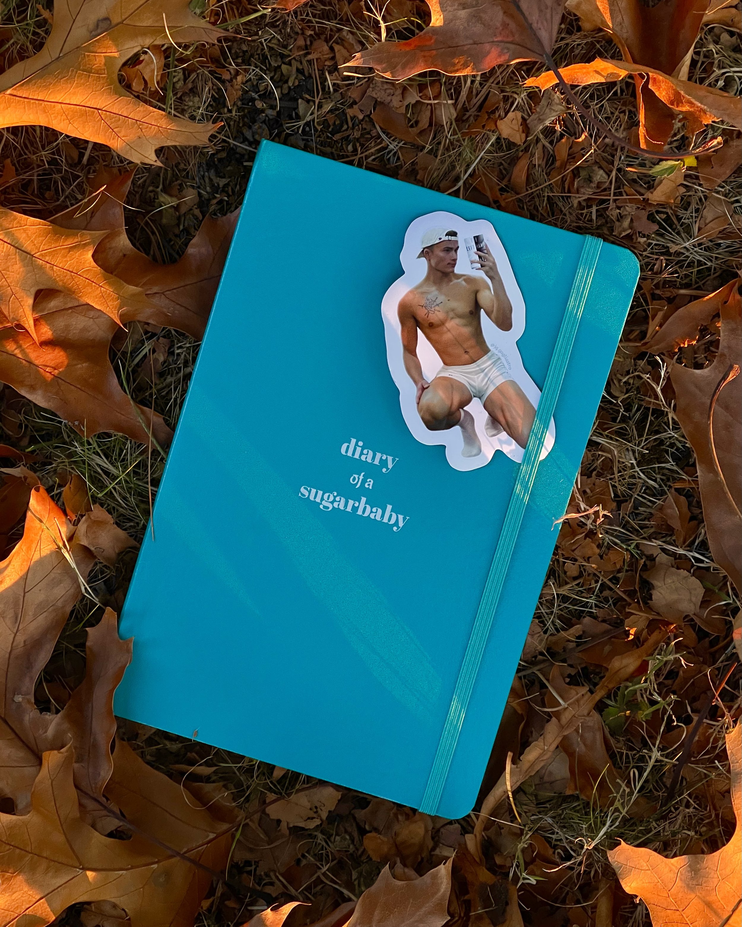 teal journal