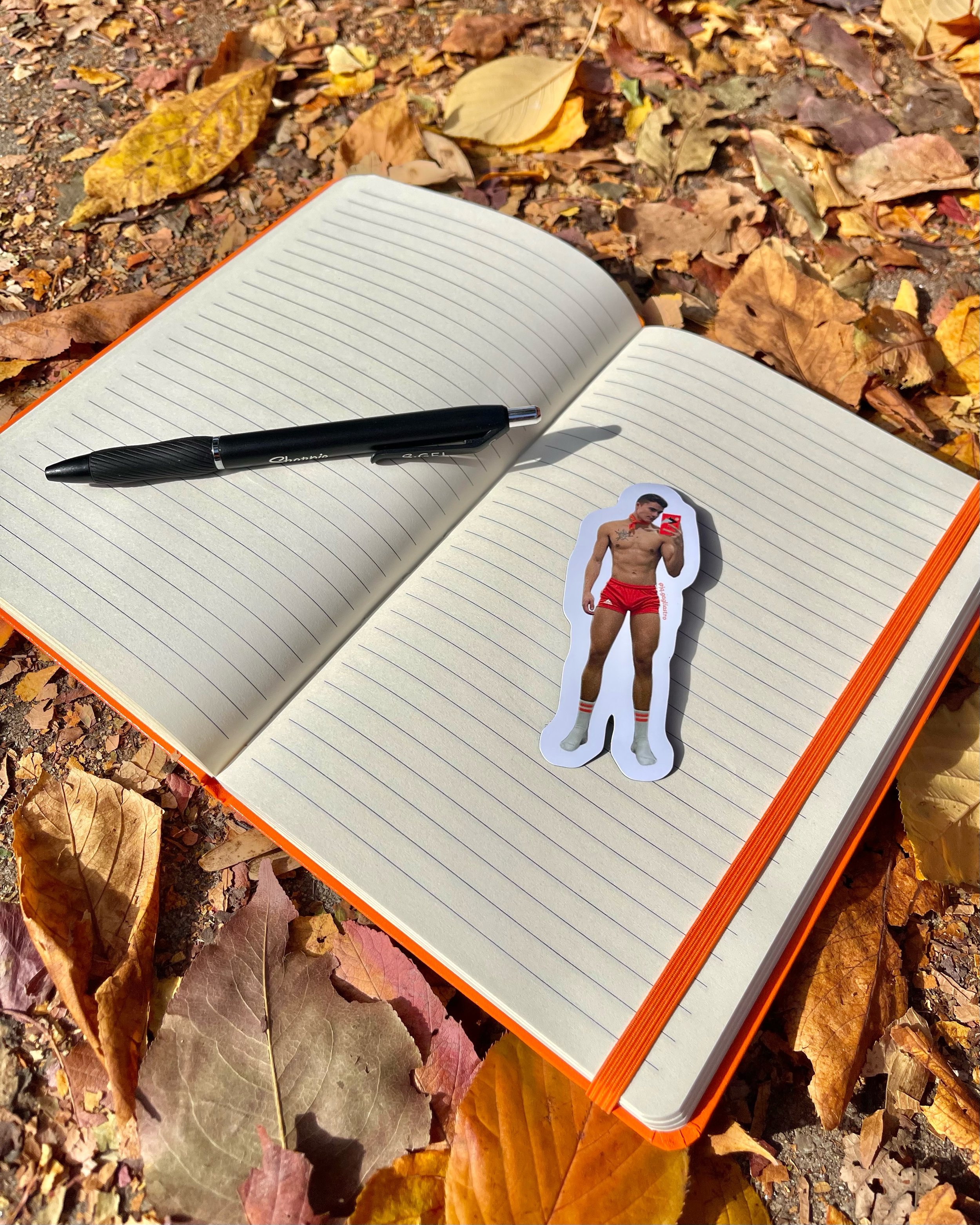 orange diary journal