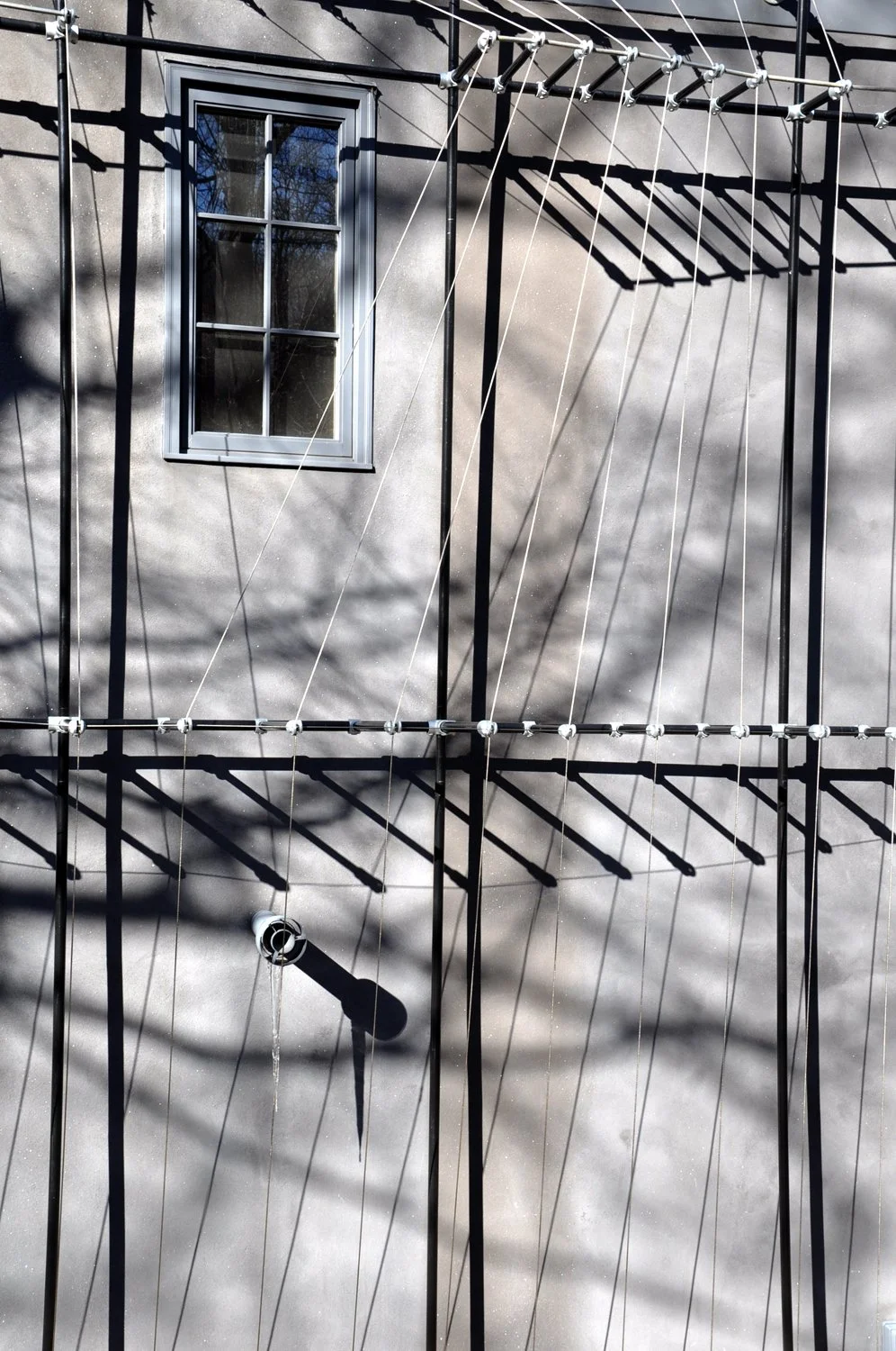 Parametric Vine Wall