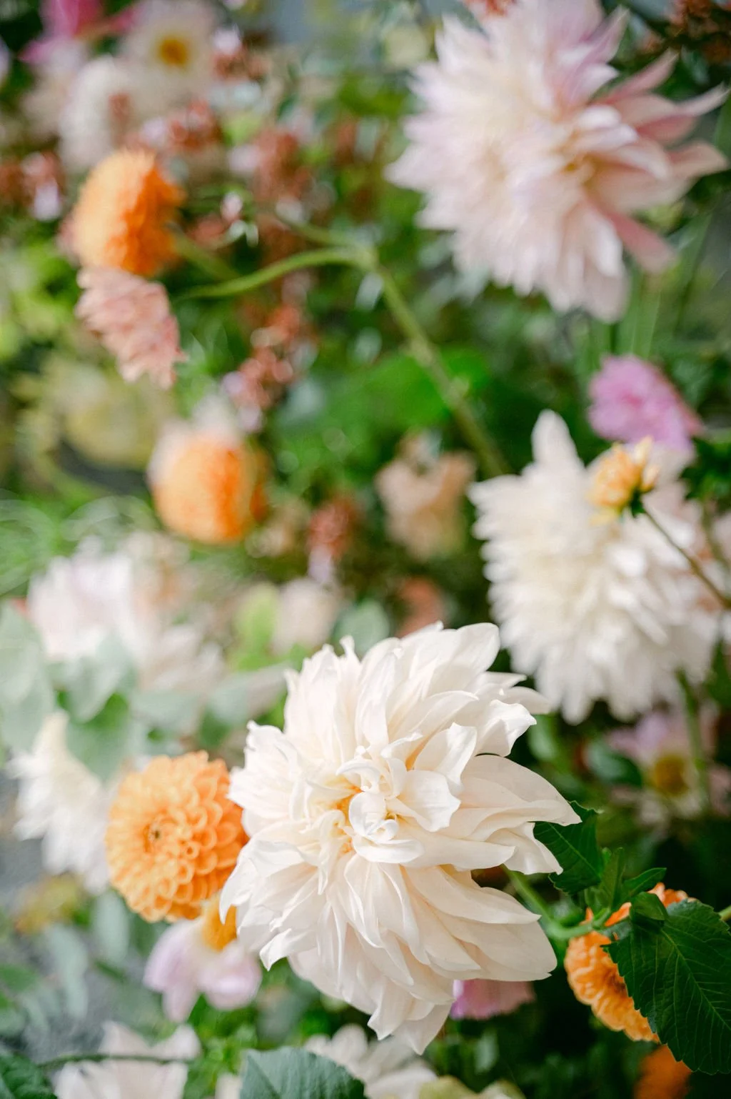 pullman-wedding-celinechhuonphotography-161.jpg