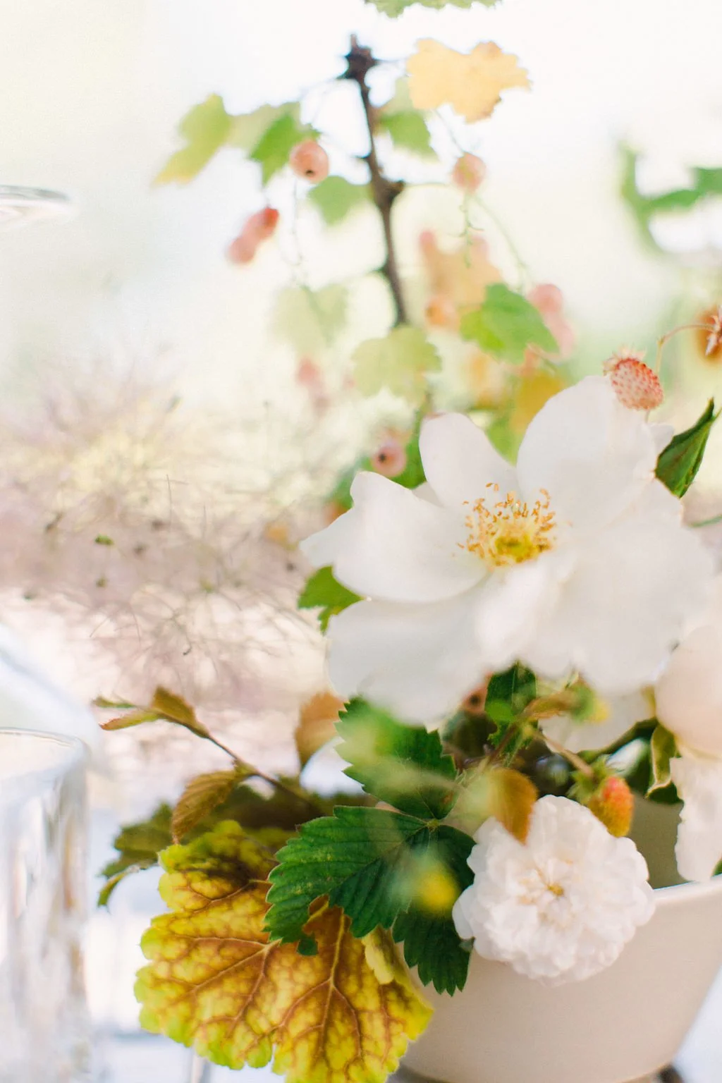 CamyDuongPhotographiefineartweddingandportraitwildblossomflowers-40.jpg