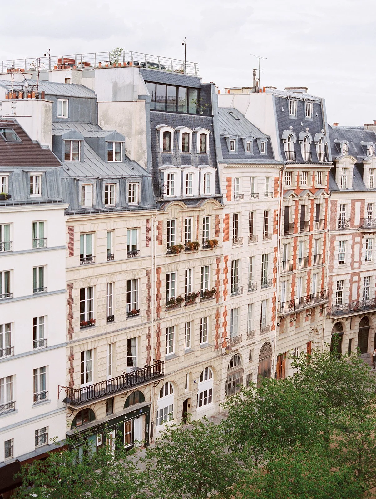 Paris.jpg