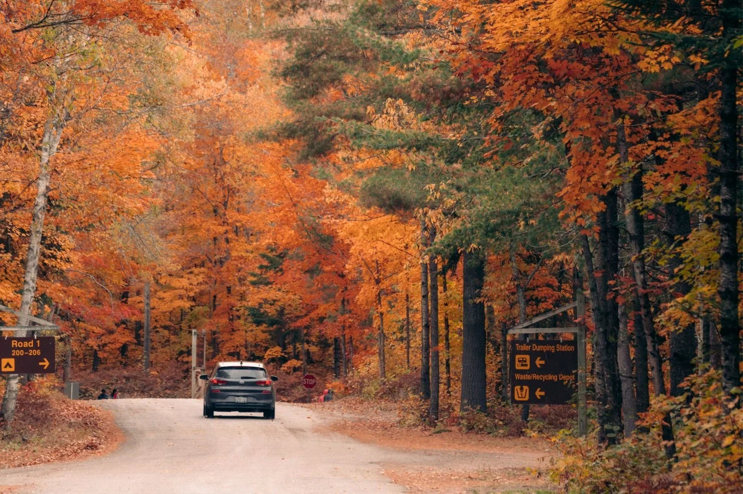 Michigan road trip through colorful fall trees