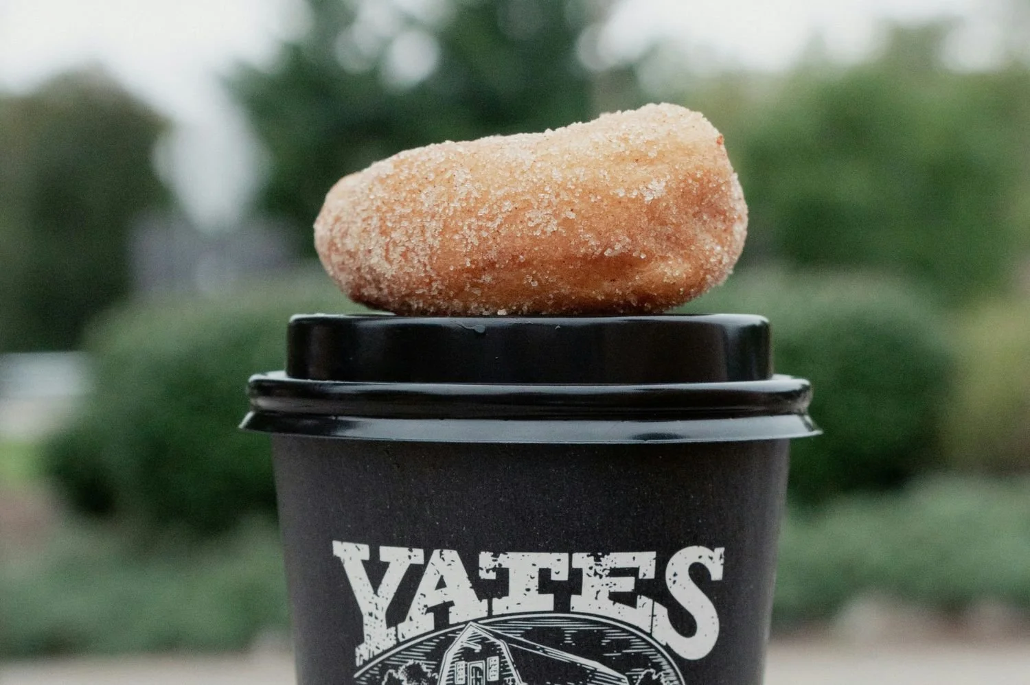 Fresh donut and cider at Yates Cider Mill in Rochester Hills, Michigan
