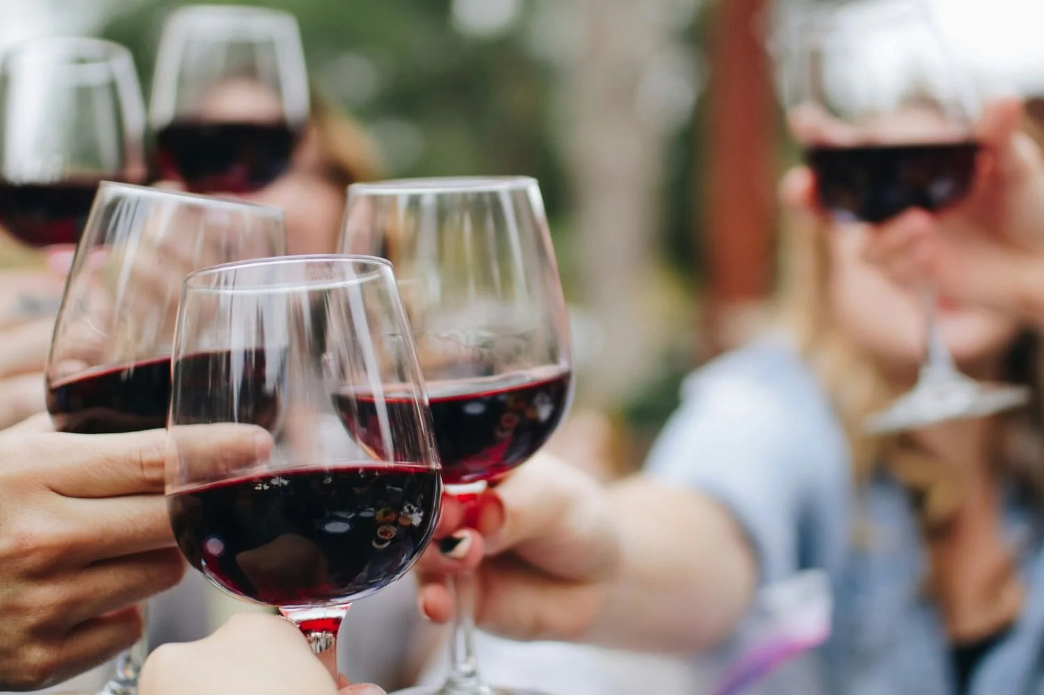 Friends toasting with wine glasses