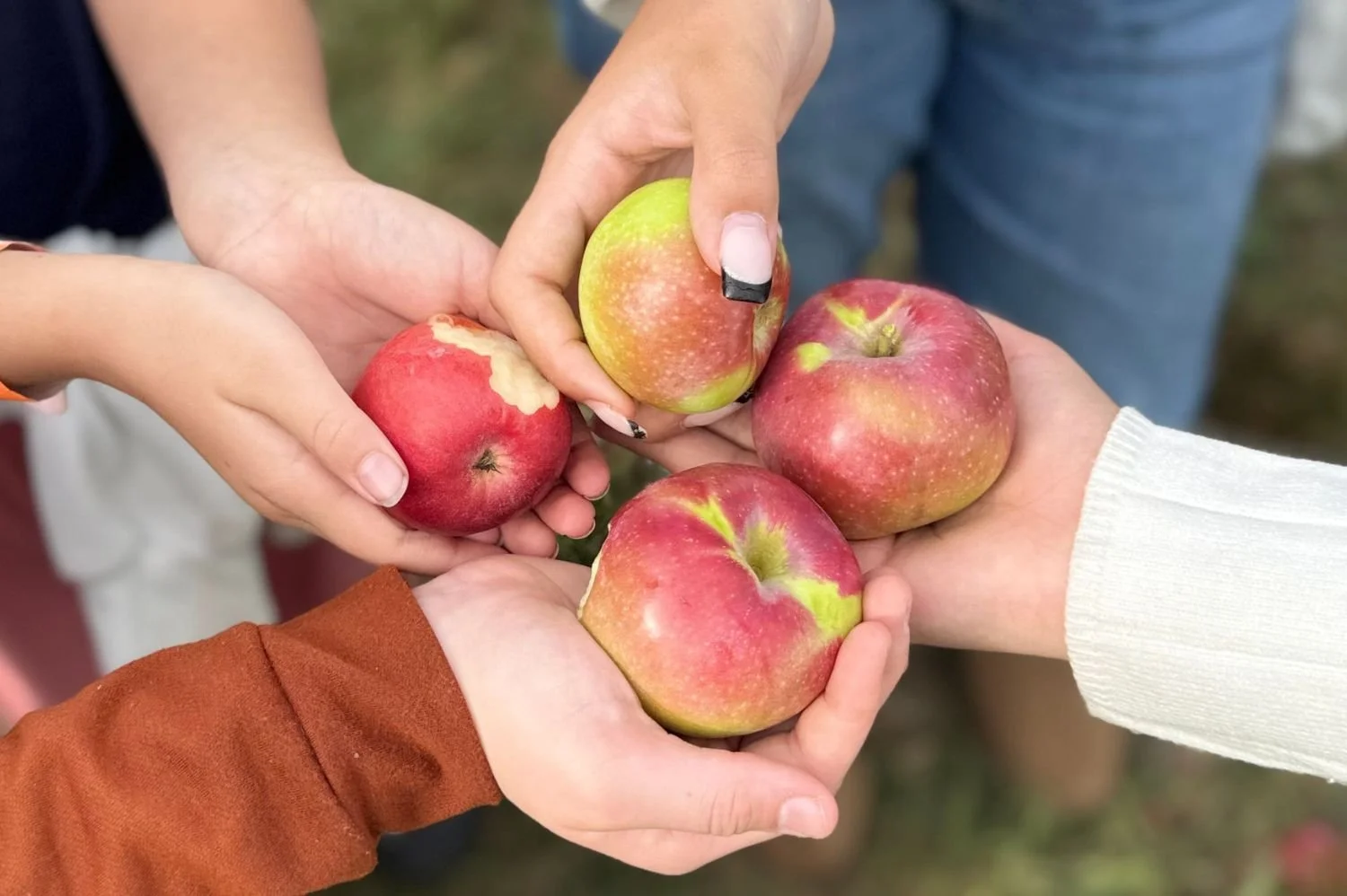 Four people holding freshly picked apples during a Michigan fall outing