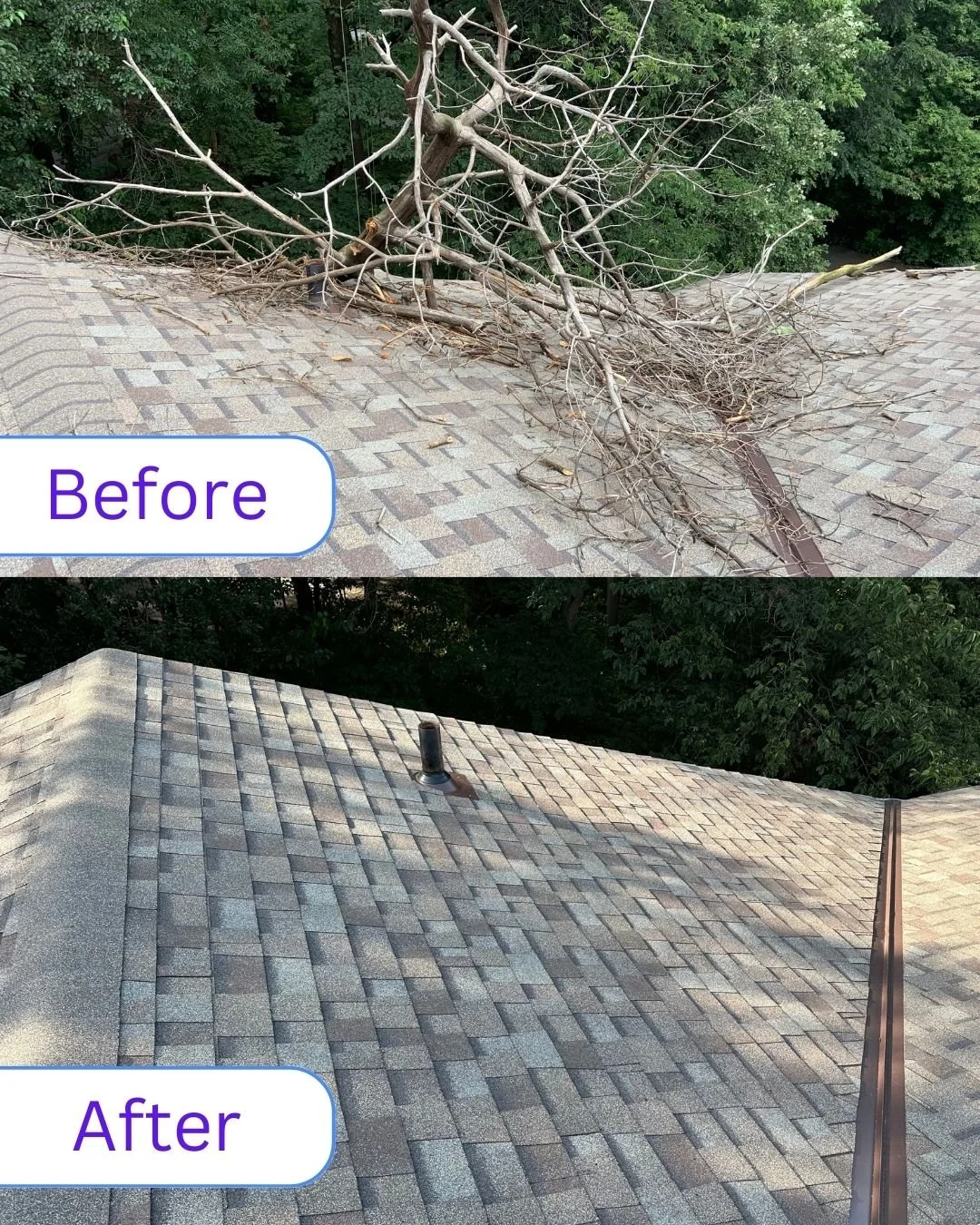 Tree Removal Roof.jpg