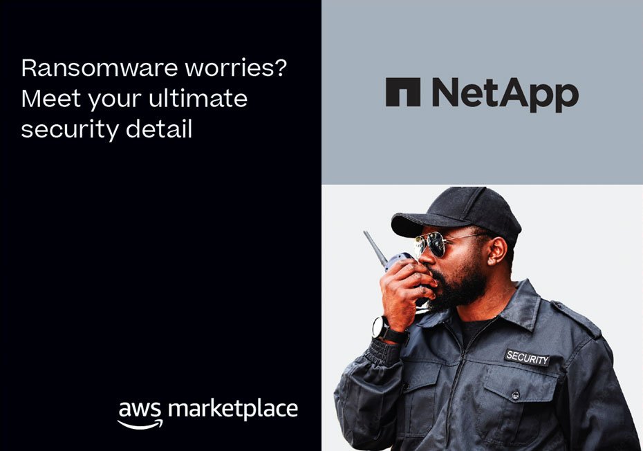 NetApp1.jpg