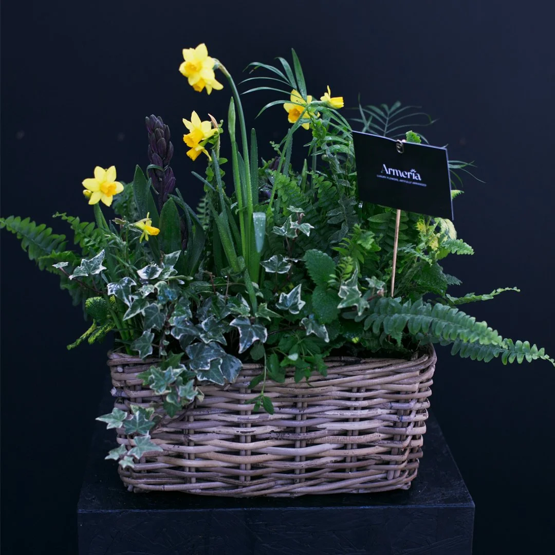 Mother's Day Spring Planter