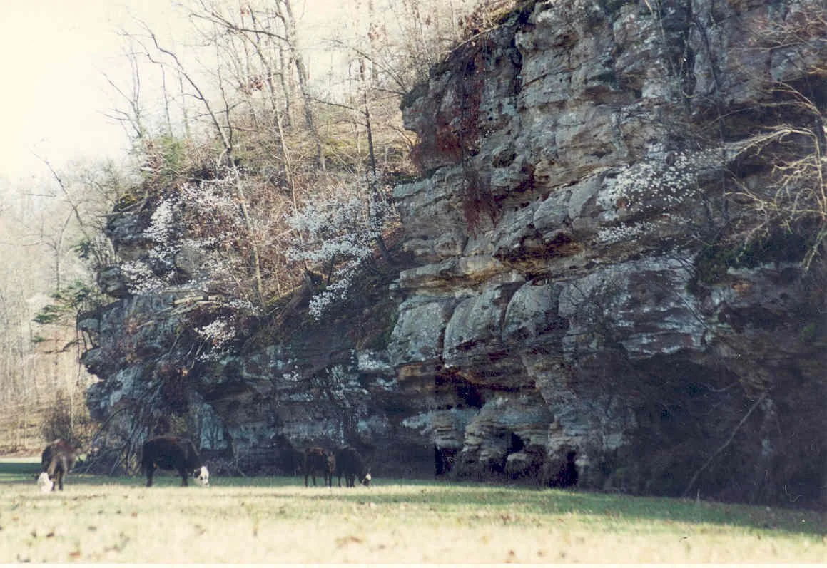 chalk cliffs.jpg
