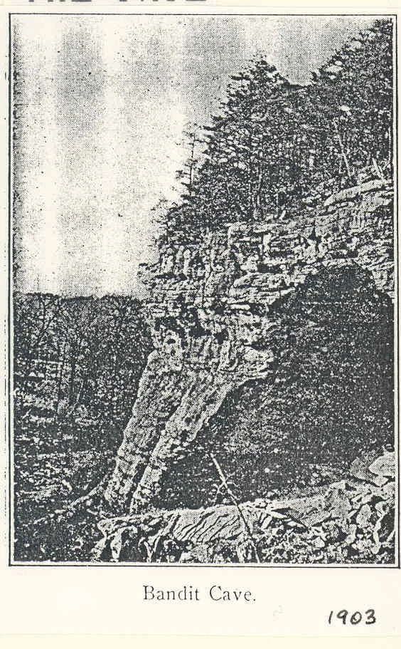 Bandits Cave bee site 2.jpg